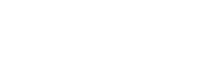 Ecoflame White Logo